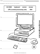 Parts Of The Computer Worksheet
