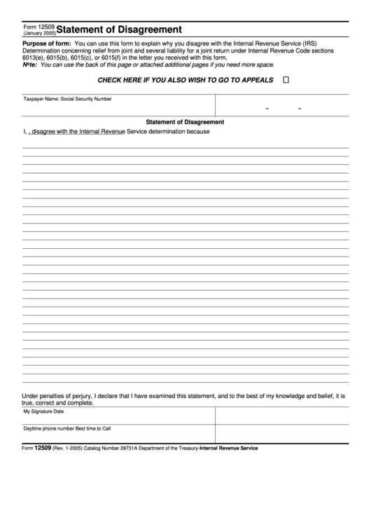 Fillable Form 12509 - Statement Of Disagreement Printable pdf