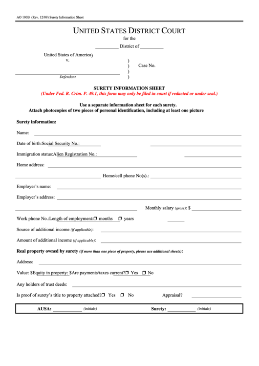 Fillable Form Ao 100b - Surety Information Sheet - United States District Court Printable pdf