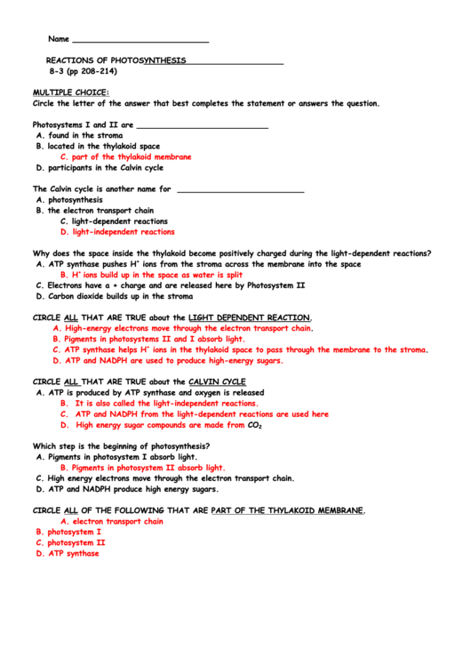 Reactions Of Photosynthesis Worksheet With Answers Printable Pdf Download
