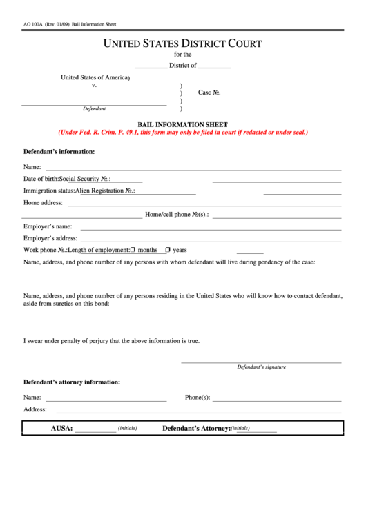 Fillable Form Ao 100a - Bail Information Sheet - United States District Court Printable pdf