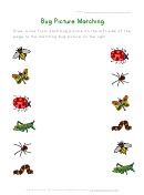 Bug Picture Matching Worksheet
