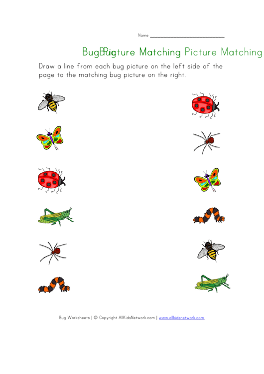 Bug Picture Matching Worksheet Printable pdf