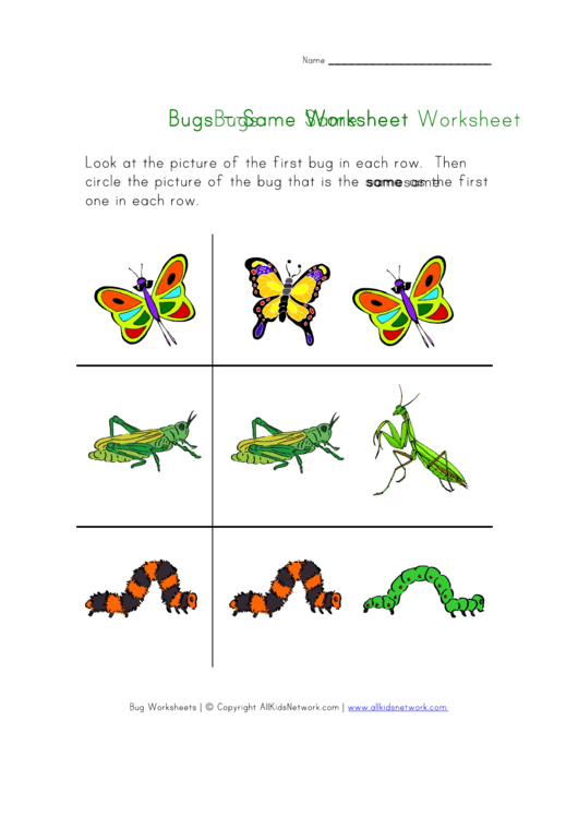 Same Bugs Kids Insect Worksheet Printable pdf