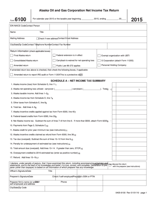 Form 6100 - Alaska Oil And Gas Corporation Net Income Tax Return - 2015 Printable pdf