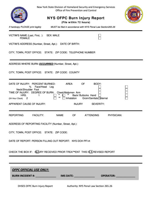 Fillable Nys Ofpc Burn Injury Report Printable pdf