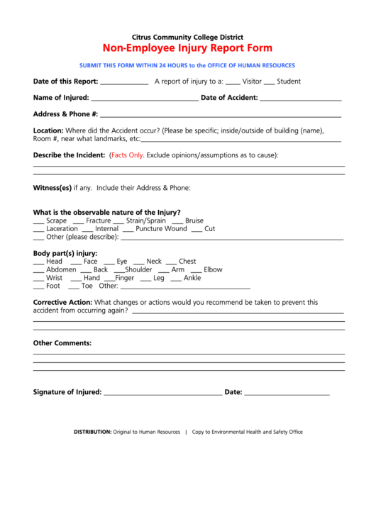 Non-Employee Injury Report Form Printable pdf