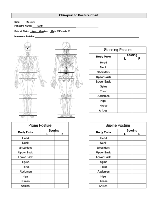 Chiropractor Posture Chart Printable pdf