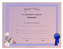 Pageant Scholarship Achievement Certificate