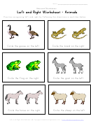 Left And Right Worksheet - Animals