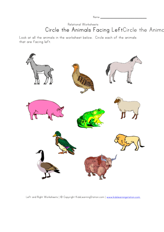 Circle The Animals Facing Left Worksheet Printable pdf