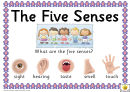Five Senses Coloring Sheet