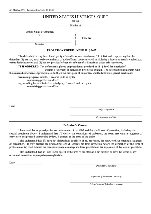 Fillable Form Ao 246 - Probation Order Printable pdf