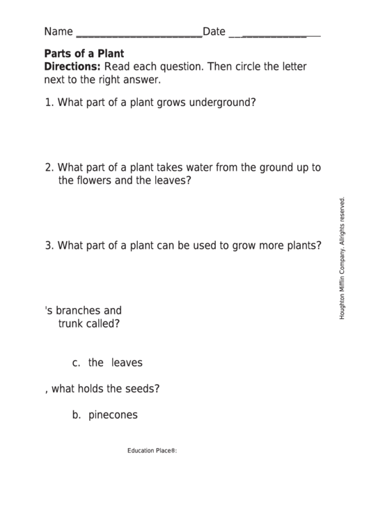 Download Parts Of A Plant - Botany Worksheet printable pdf download