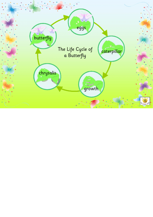 Life Cycle Of A Butterfly Template Printable pdf
