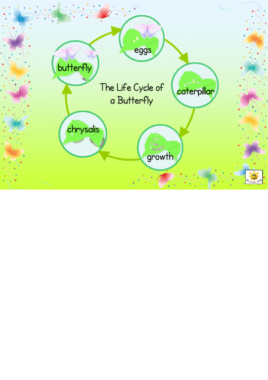 Life Cycle Of A Butterfly Diagram Template Printable pdf