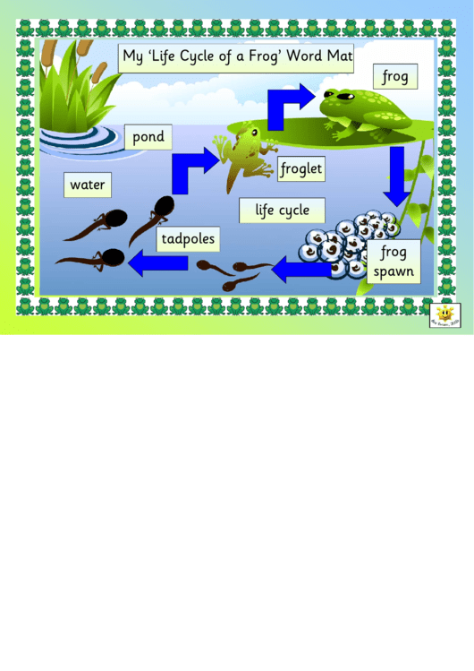 Life Cycle Of A Frog Diagram Template Printable pdf