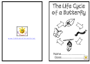 Life Cycle Of Butterfly Activity Sheets