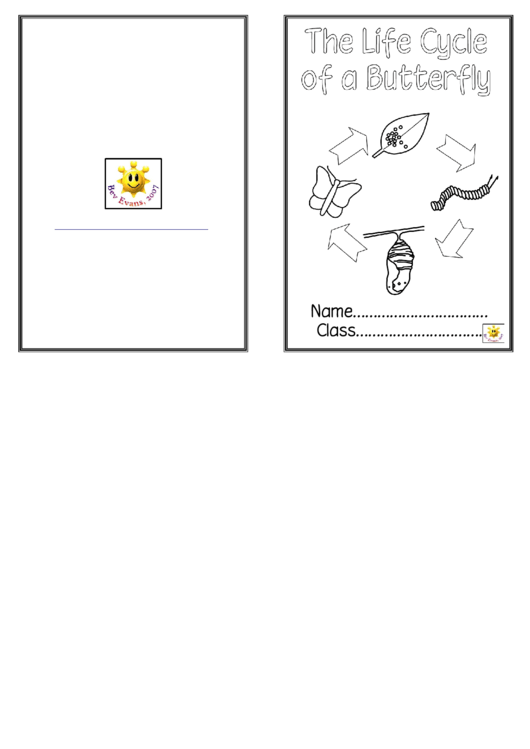 Life Cycle Of Butterfly Activity Sheets Printable pdf