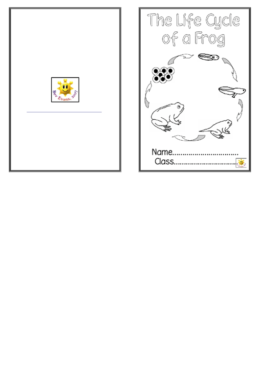 Life Cycle Of Frog Activity Sheet Printable pdf