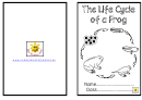 Life Cycle Of Frog Activity Sheet