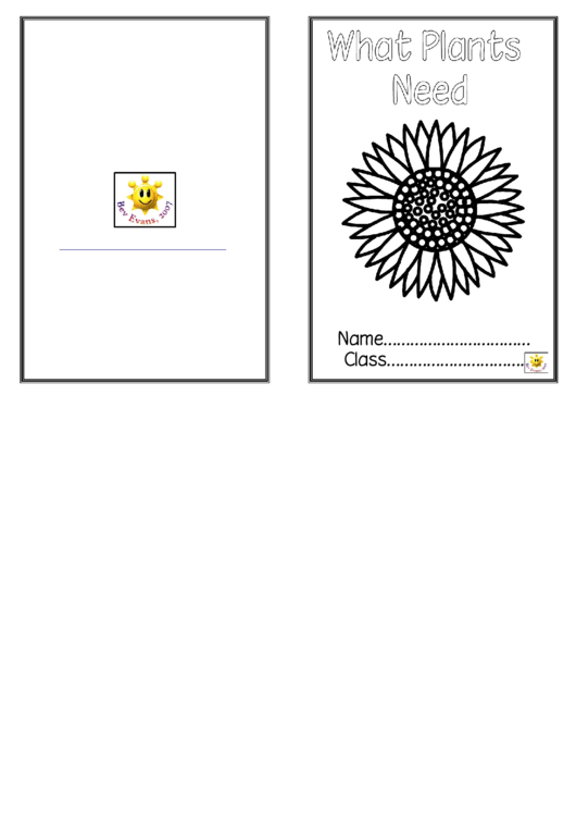 What Plants Need Activity Sheets Printable pdf