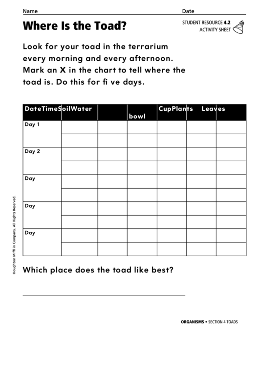 Where Is The Toad Activity Sheet Printable pdf