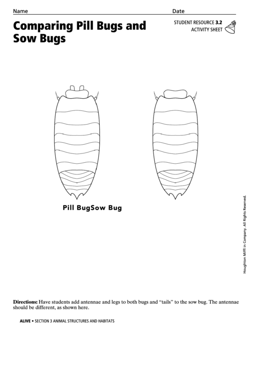 Comparing Pill Bugs And Sow Bugs Activity Sheet Printable pdf