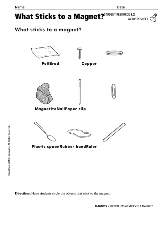 What Sticks To A Magnet Activity Sheet Printable pdf