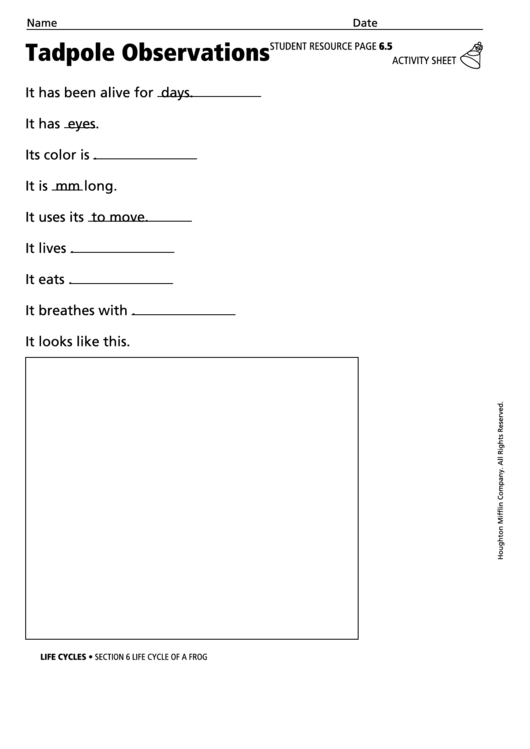 Tadpole Observations Activity Sheet Printable pdf