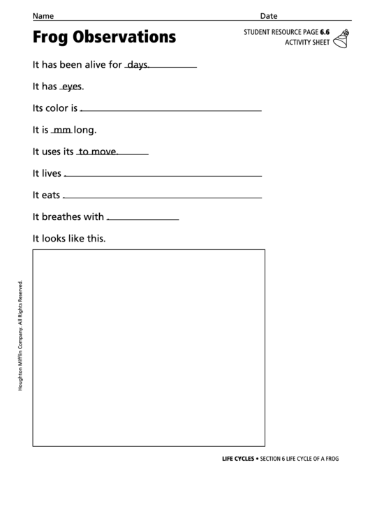 Frog Observations Activity Sheet Printable pdf