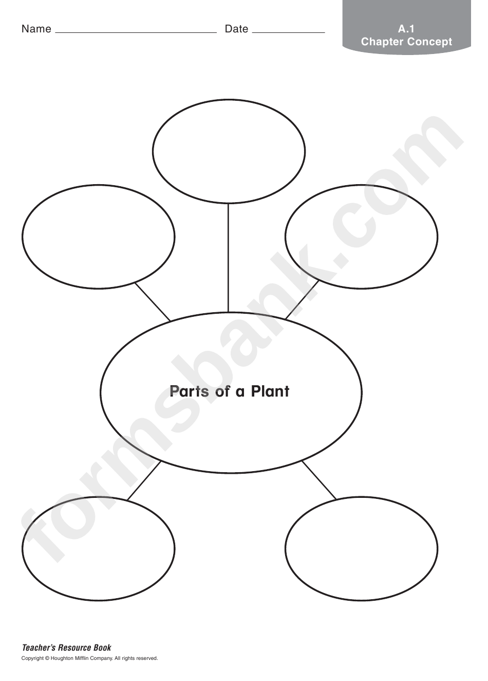 Parts Of A Plant Biology Worksheet