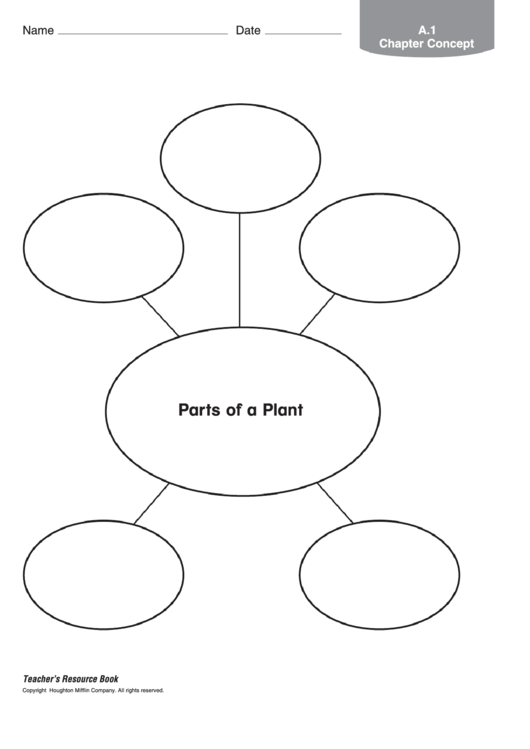 Parts Of A Plant Biology Worksheet Printable pdf