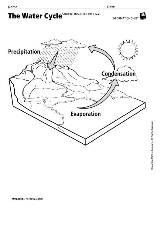 Rain - The Water Cycle Printable pdf