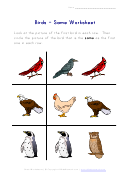 Birds - Same Worksheet
