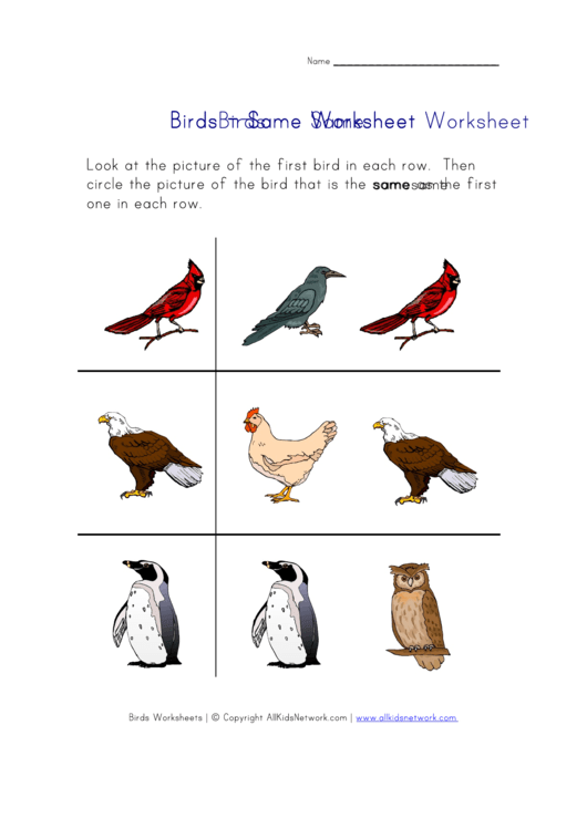 Birds - Same Worksheet Printable pdf