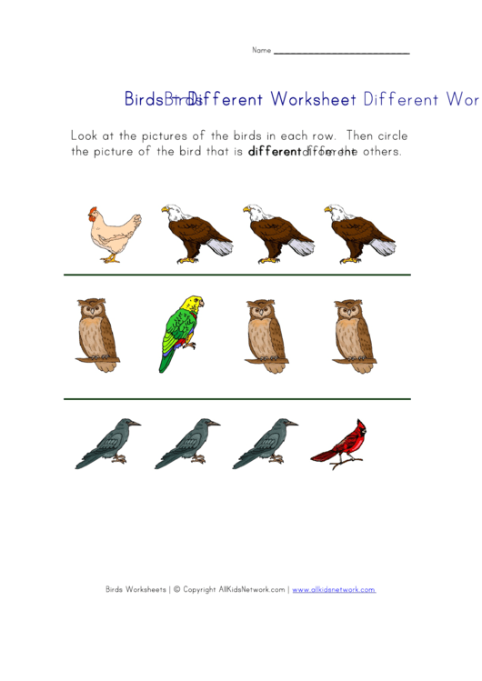 Birds - Different Worksheet Printable pdf