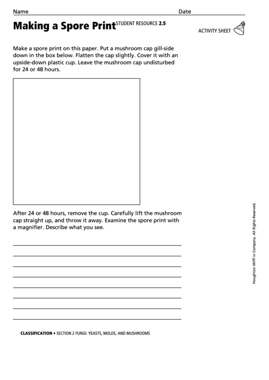 Activity Sheet - Making A Spore Print Printable pdf