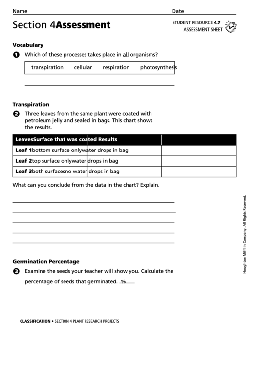 Assessment Sheet - Plant Research Projects Printable pdf
