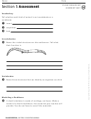 Assessment Sheet - Classifying Animals