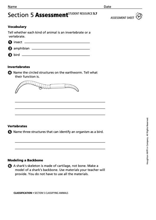 Assessment Sheet - Classifying Animals Printable pdf