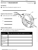 Section 1 Observing Daphnia Assessment Biology Worksheet