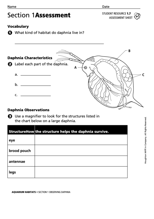 Section 1 Observing Daphnia Assessment Biology Worksheet Printable pdf
