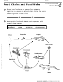 Food Chains And Food Webs Biology Worksheet
