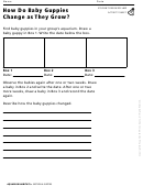 How Do Baby Guppies Change As They Grow Biology Worksheet