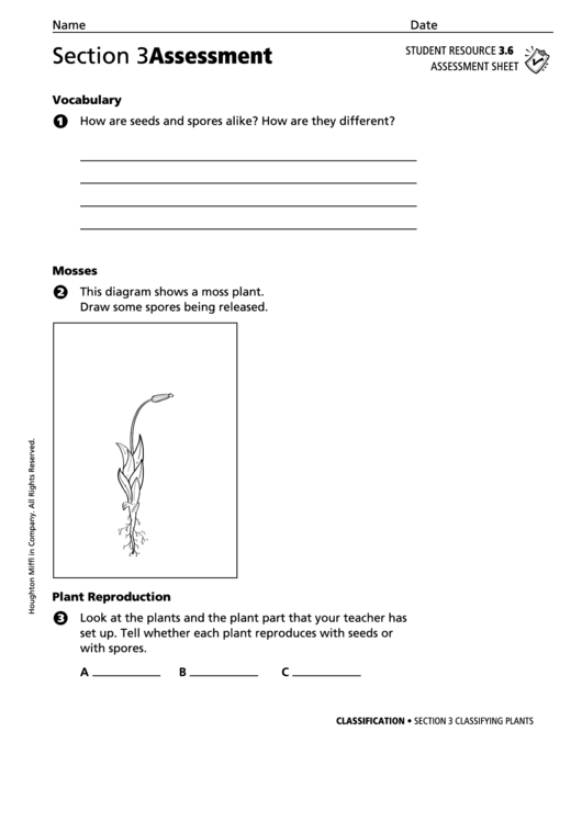 Classifying Plants Activity Sheet Printable pdf