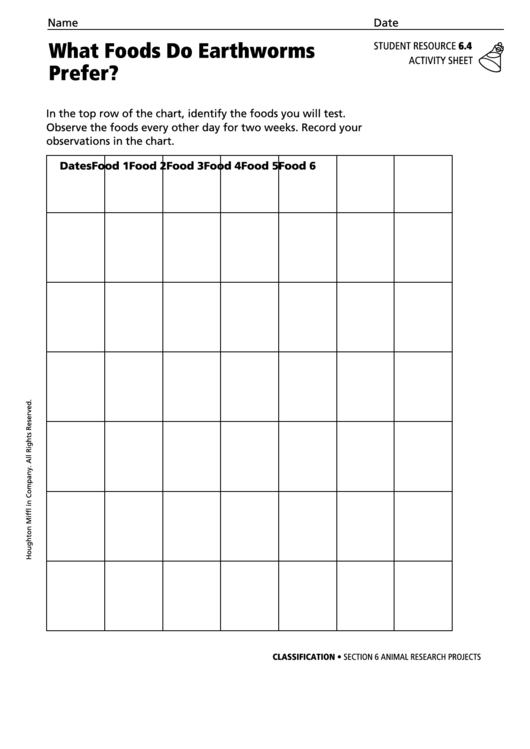 Activity Sheet - What Foods Do Earthworms Prefer Printable pdf