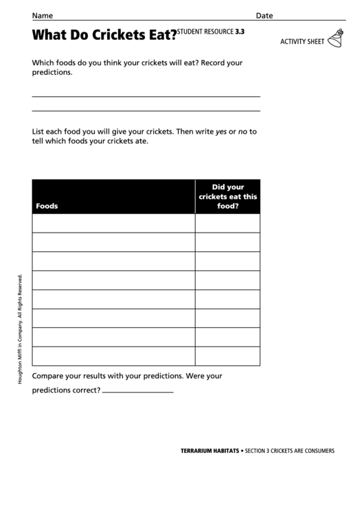 What Do Crickets Eat Biology Worksheet Printable pdf