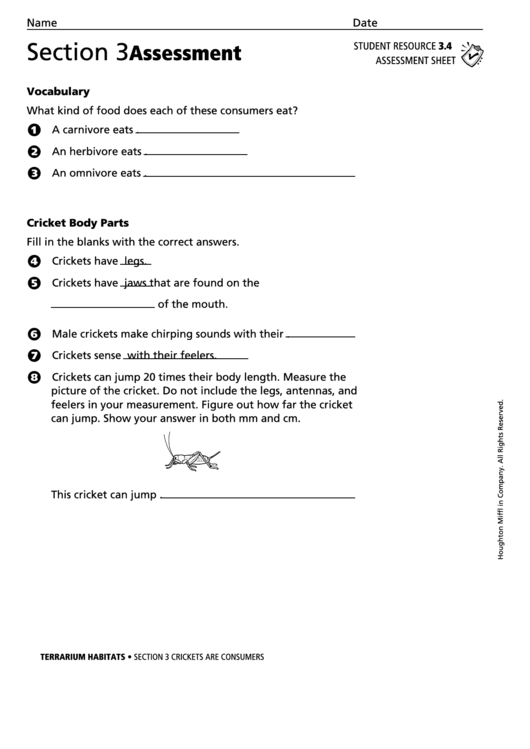 Section 3 Assessment Crickets Are Consumers Biology Worksheet Printable pdf