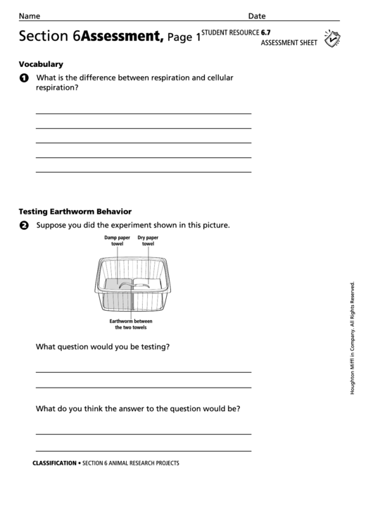 Animal Research Projects Assessment Sheet Printable pdf